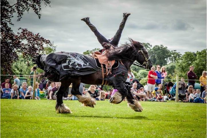 Book Horse Display