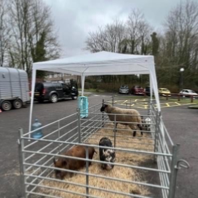 Educational Visits with our Mobile Farm