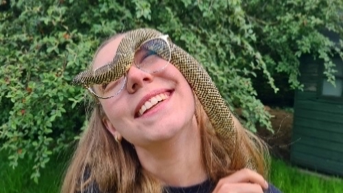 Package image