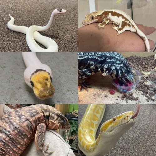 Package image