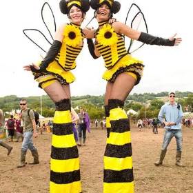 Bumble Bees!