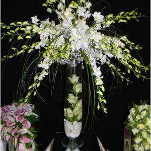 Flowers by Arkadius