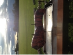 Treacle Town Hog Roast And Event Catering