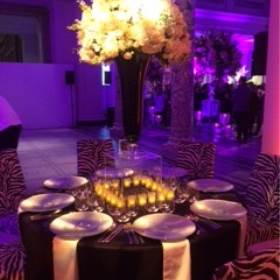 Well Dressed Tables