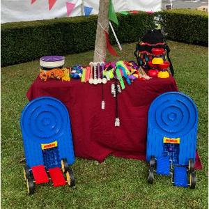 Circus workshops