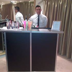 Cocktail Bartender and Bar Unit