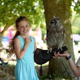 UK Owl and Raptor Centre