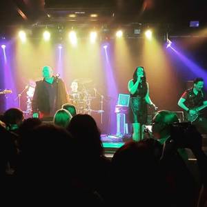 Maetloaf and the Never Neverland Express