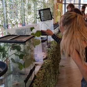 Bugfest at Bournemouth Uni 2019