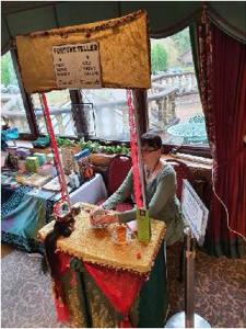 Vala Stiorra: The gypsy witch, fortune teller, Psychic, seer.