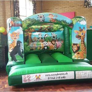 jungle castle 1