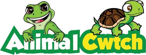 Animal Cwtch