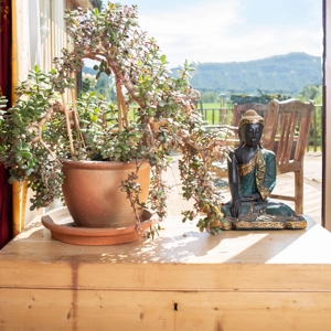 Air BnB Image