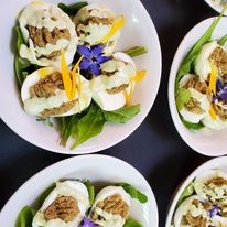 georgia starters.jpg