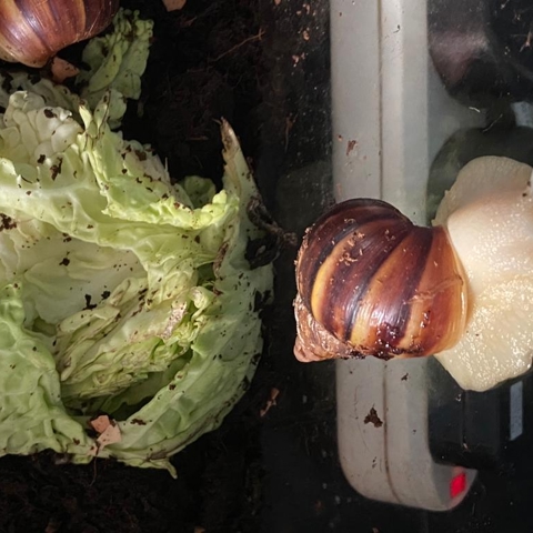 All Creatures Animal Experience