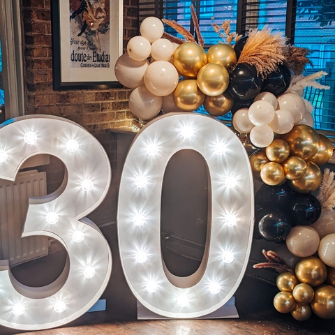 Mini Garland LED Display