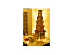 Chocolate Fountain Logo