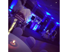 Wedding and Party DJ Logo